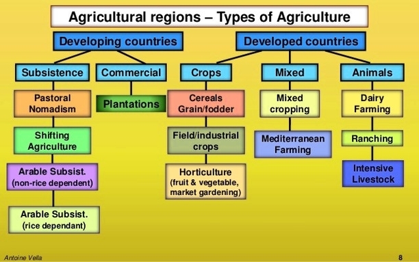 4 Types Of Subsistence Agriculture