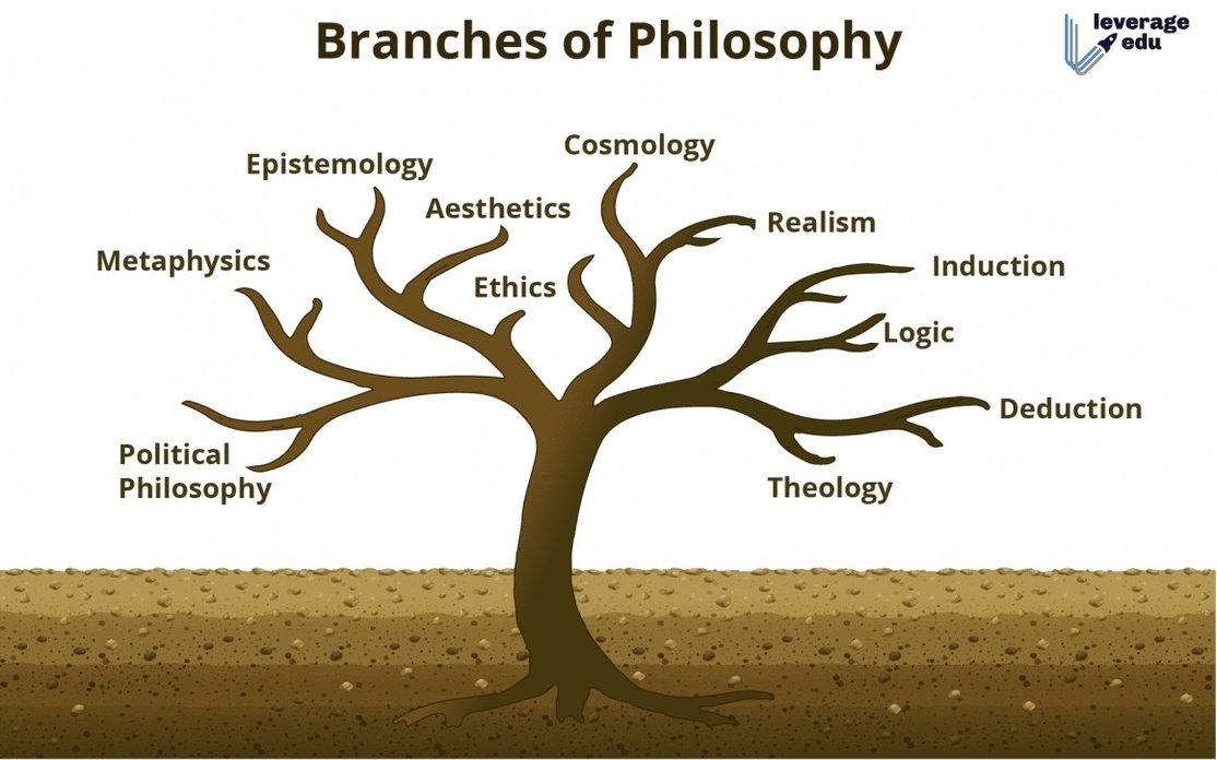 7 Branches Of Philosophy