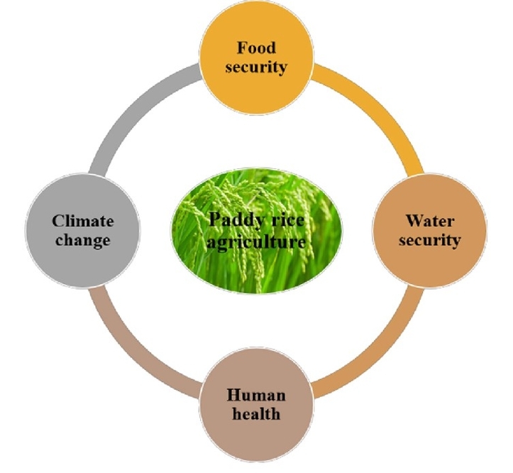 Agriculture Diagram Simple