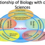 Biology Relationships to other Sciences