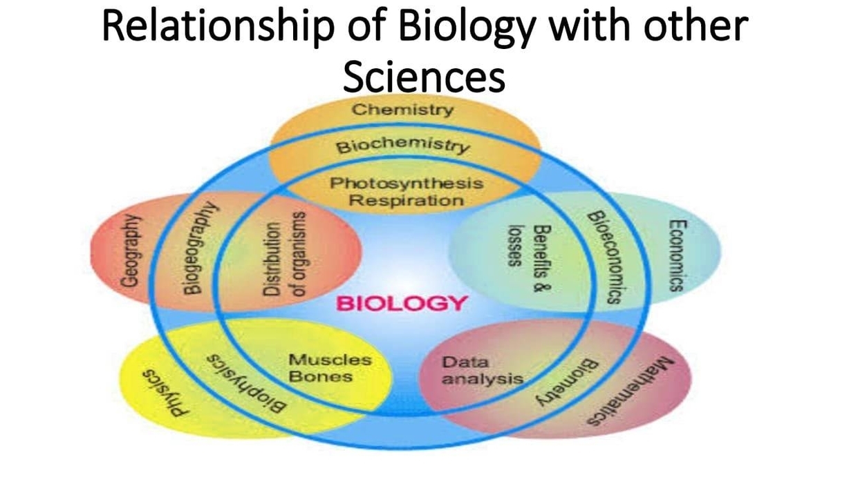 Biology Relationships to other Sciences