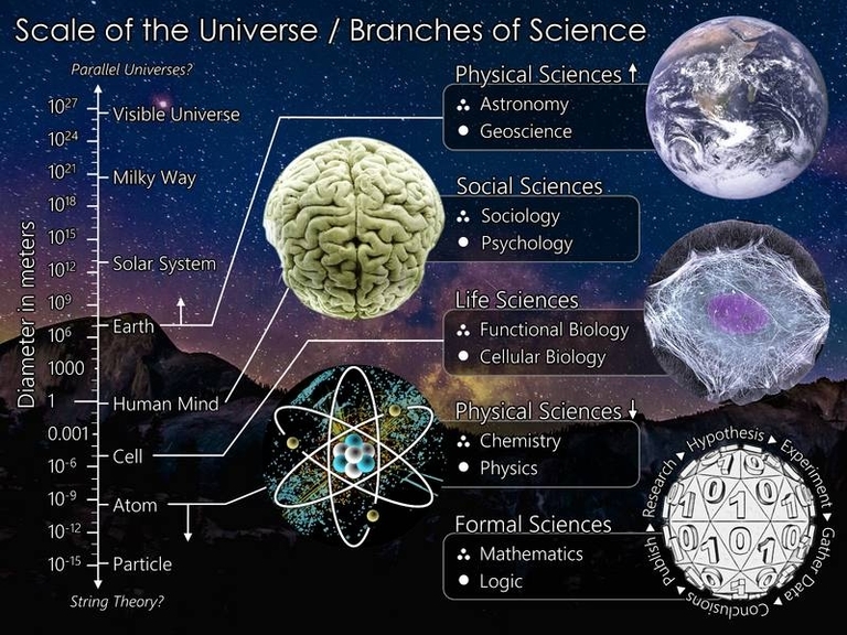 Branches Of Science Example