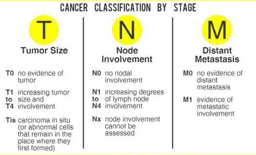 Cancer Classification by Stage and Grade