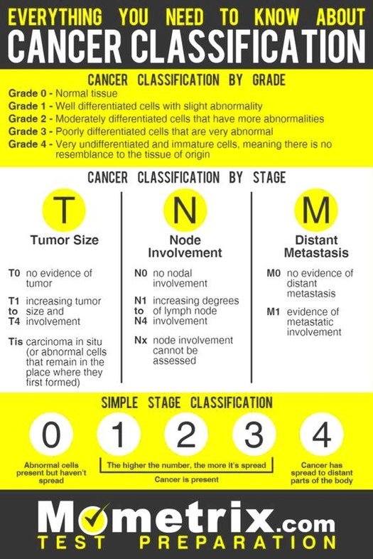 Cancer Classification by Stage and Grade