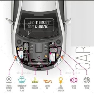 car fluids – Charts