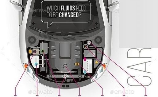 Car Fluids Diagram