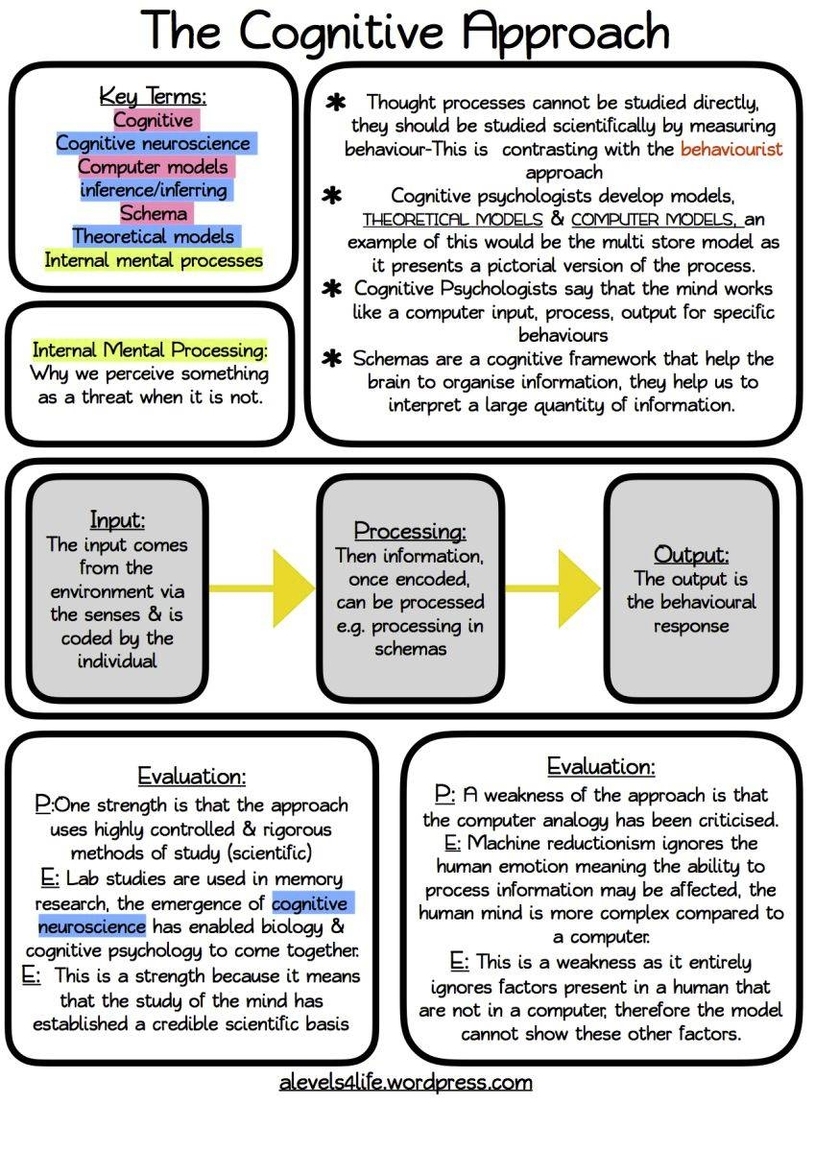 Cognitive Psychology Definition