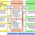 Conceptual Framework Linking Agricultural Practices, Time Use And Nutrition Outcomes