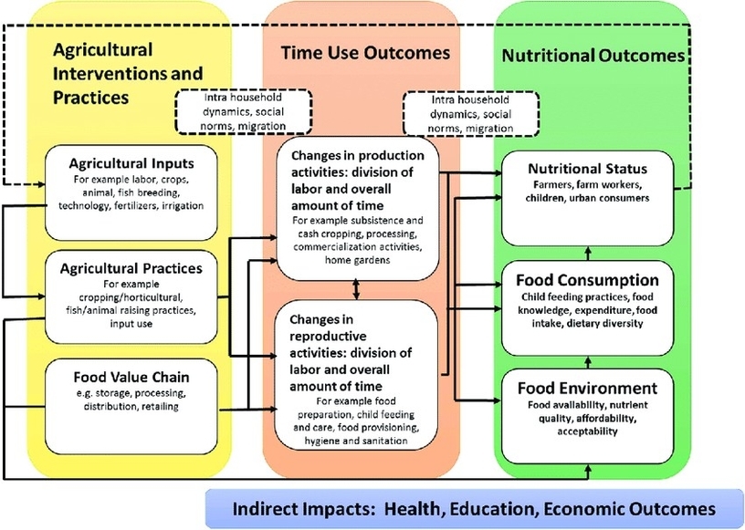 Conceptual Framework Linking Agricultural Practices, Time Use And Nutrition Outcomes