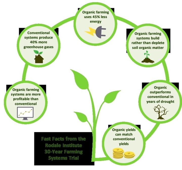 Farmer Diagram 8