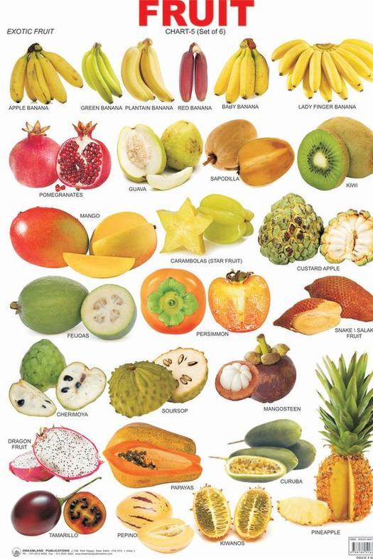 Fruits Chart with names