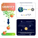 Gravity Explanation Diagram With Formula Physics Gravitation Concept ...