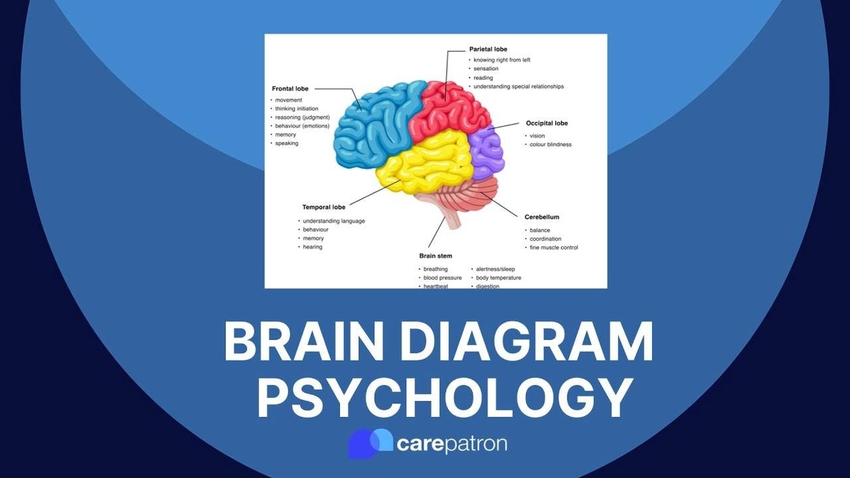 Health Venn Diagram Graphic