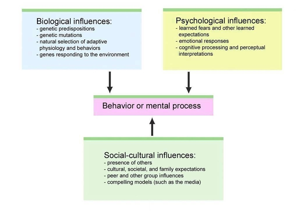 History And Approaches Ap Psychology