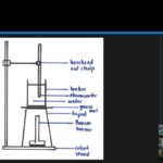 How To Draw Scientific Diagrams