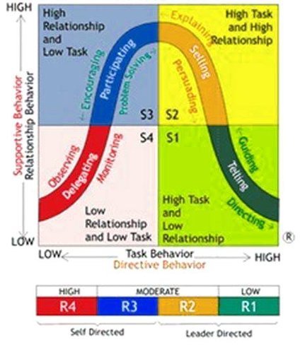 Leadership Styles Directive vs Supportive