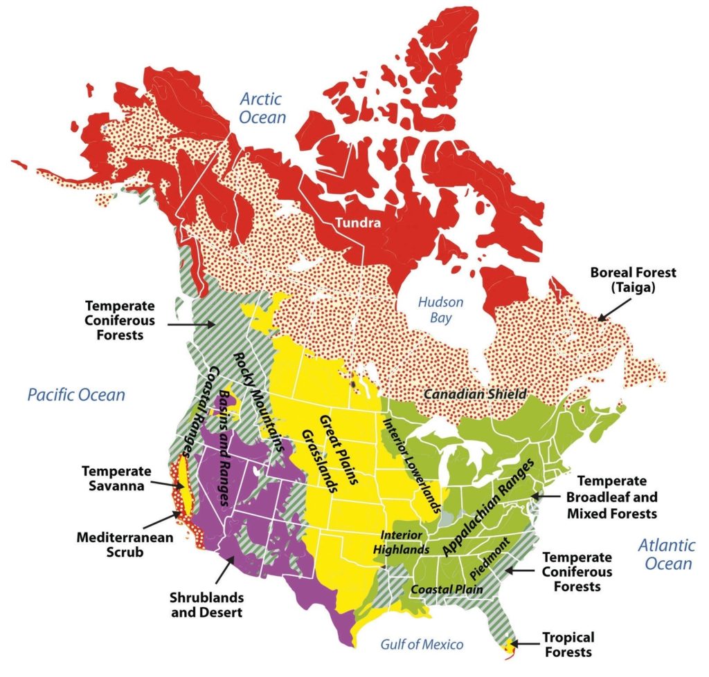 Lowlands Geography – Charts