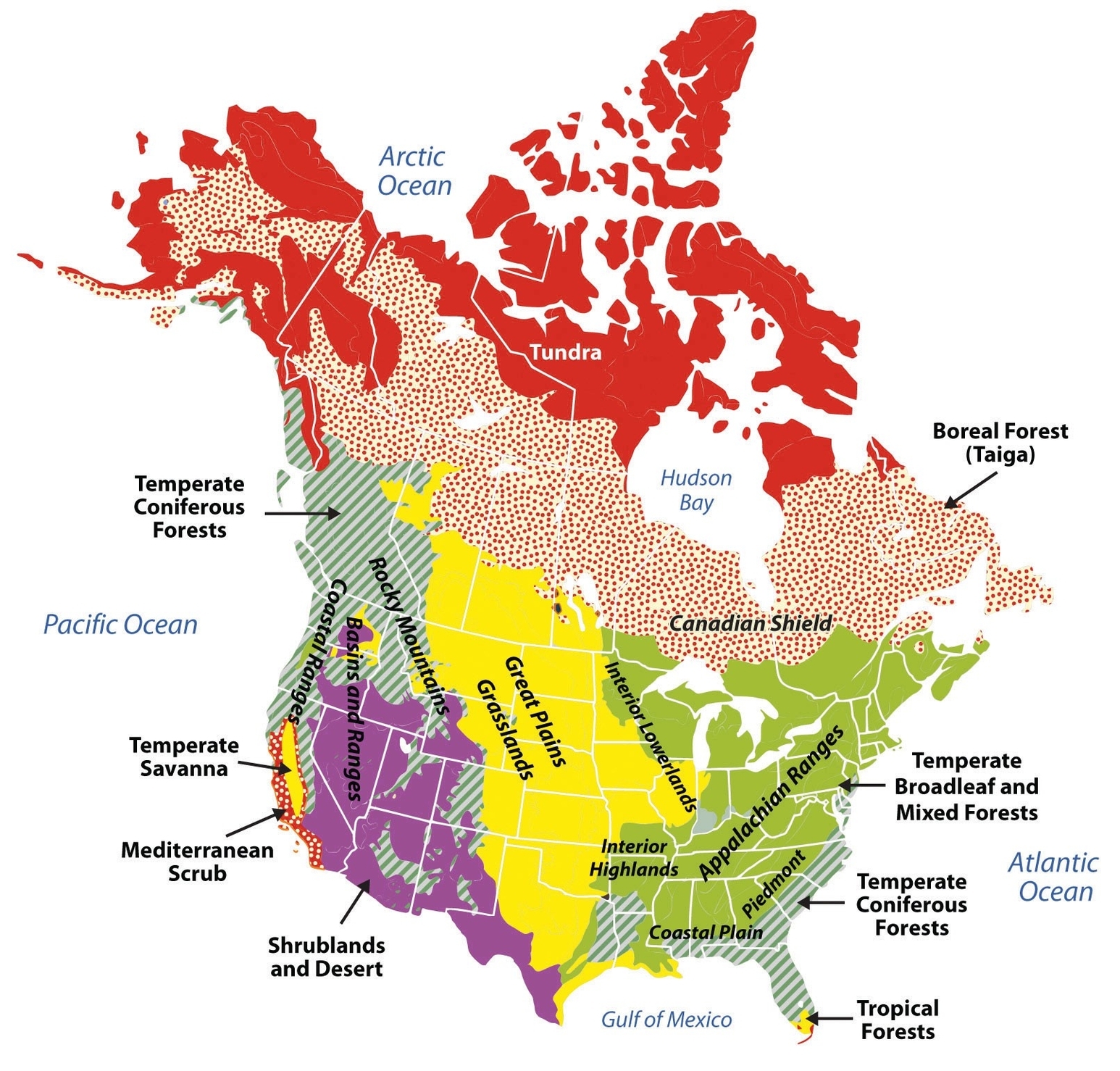 Lowlands Geography