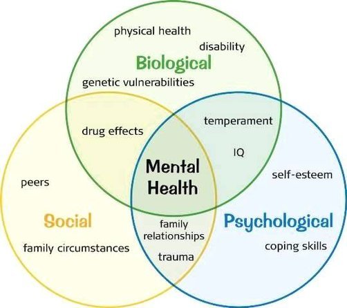 Mental Health Social Pscychological Biological Attributes