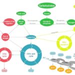 Metabolic Processes