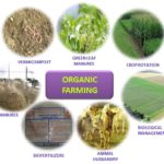 Organic Farming