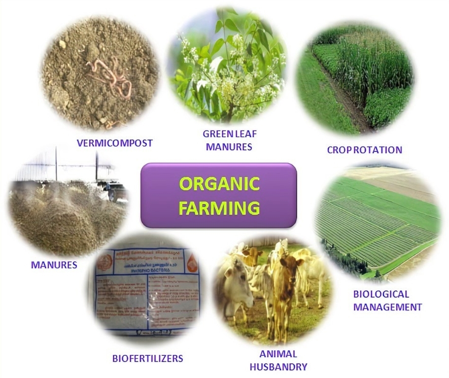 Organic Farming