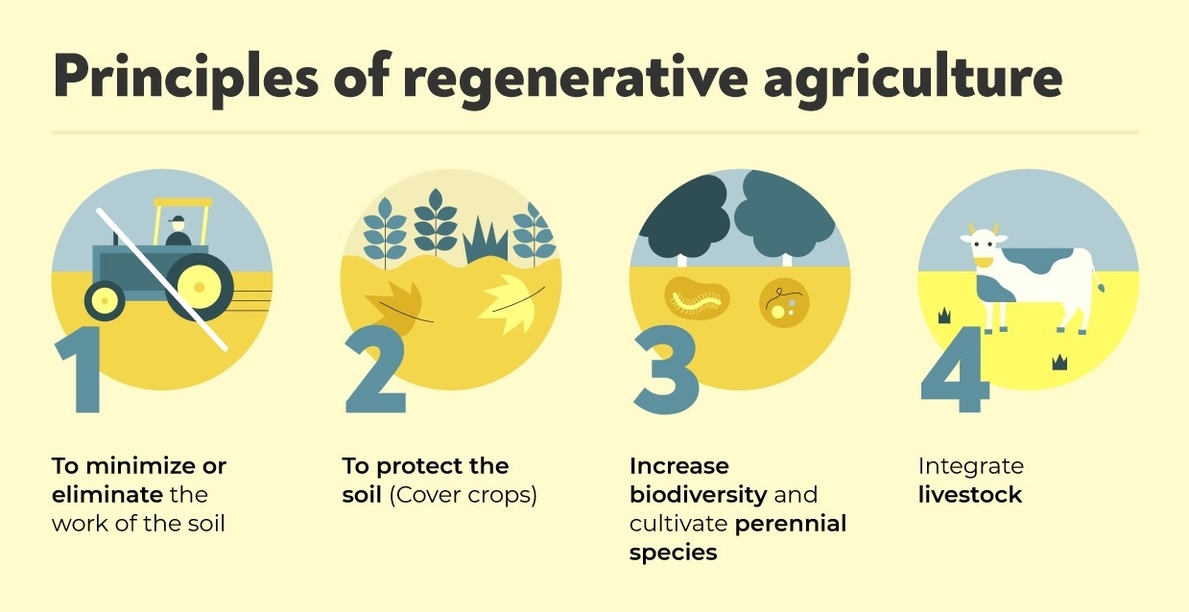 Regenerative Agriculture 54