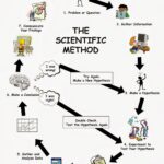 Scientific Method Example