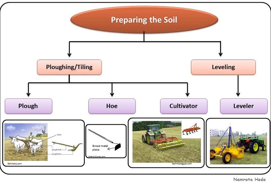 Soil Preparation For Crop Production