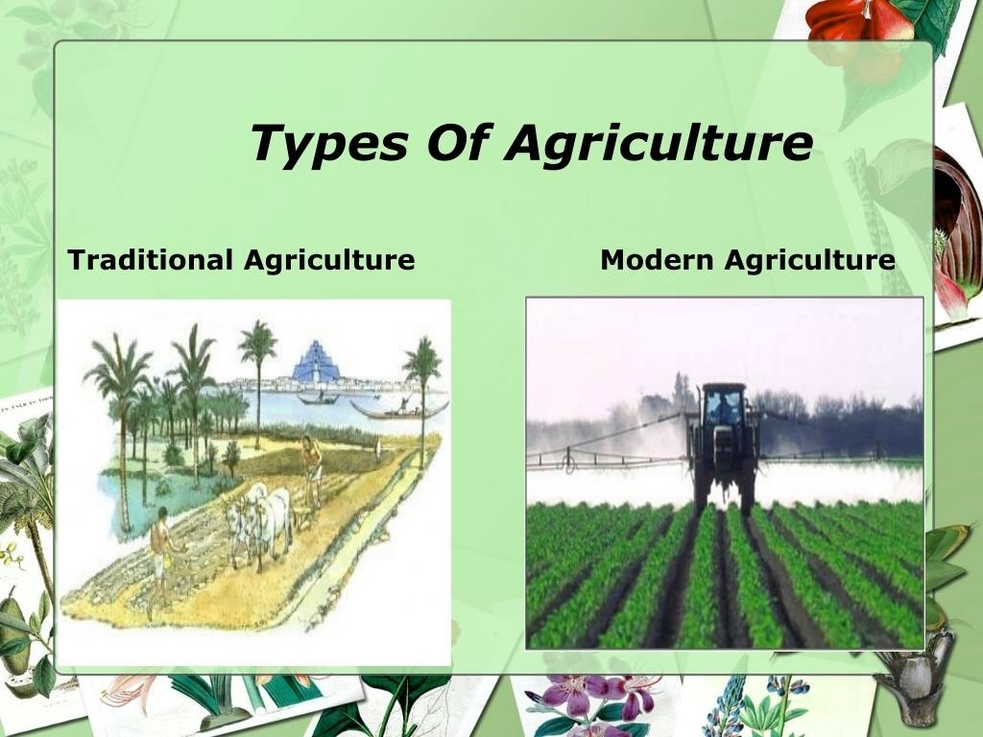 Types Of Agriculture 19