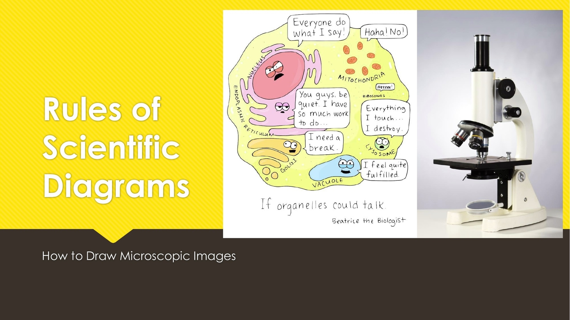 What Is A Scientific Diagram