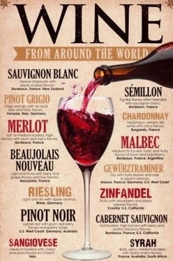 Wine Types Explained