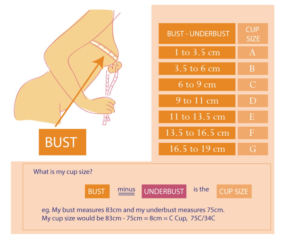 bust cup size diagram