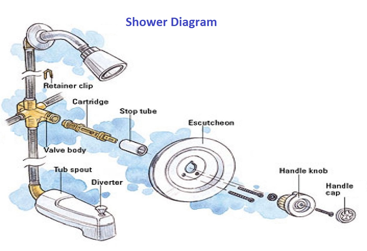 shower diagram