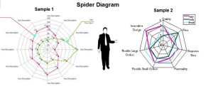 spider diagram