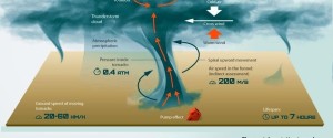 tornado diagram