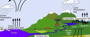 water cycle