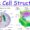 Cell Biology