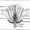 Class 10 Science Biology Diagrams