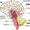 Cognitive Behavioral Therapy Model Represented