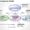 Core Competence Business Model PowerPoint Presentation