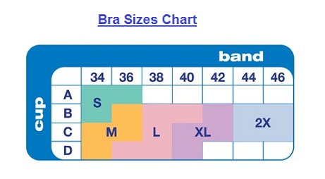 Bra Chart