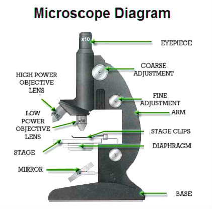 microscope-diagram